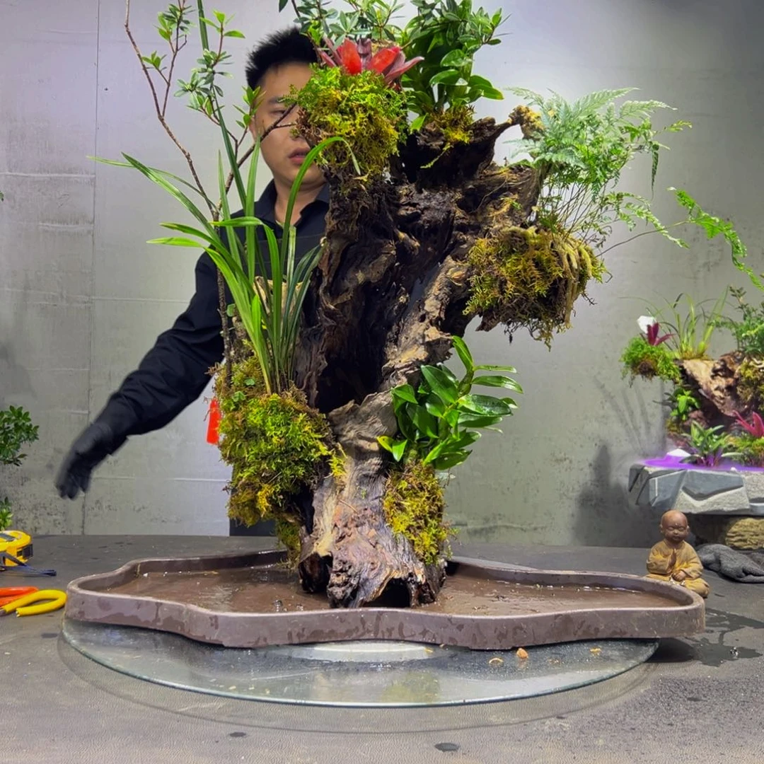 空***司无花朵11111111111111