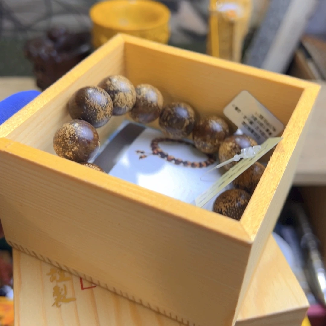 茶宠哈哈哈哈哈哈哈哈