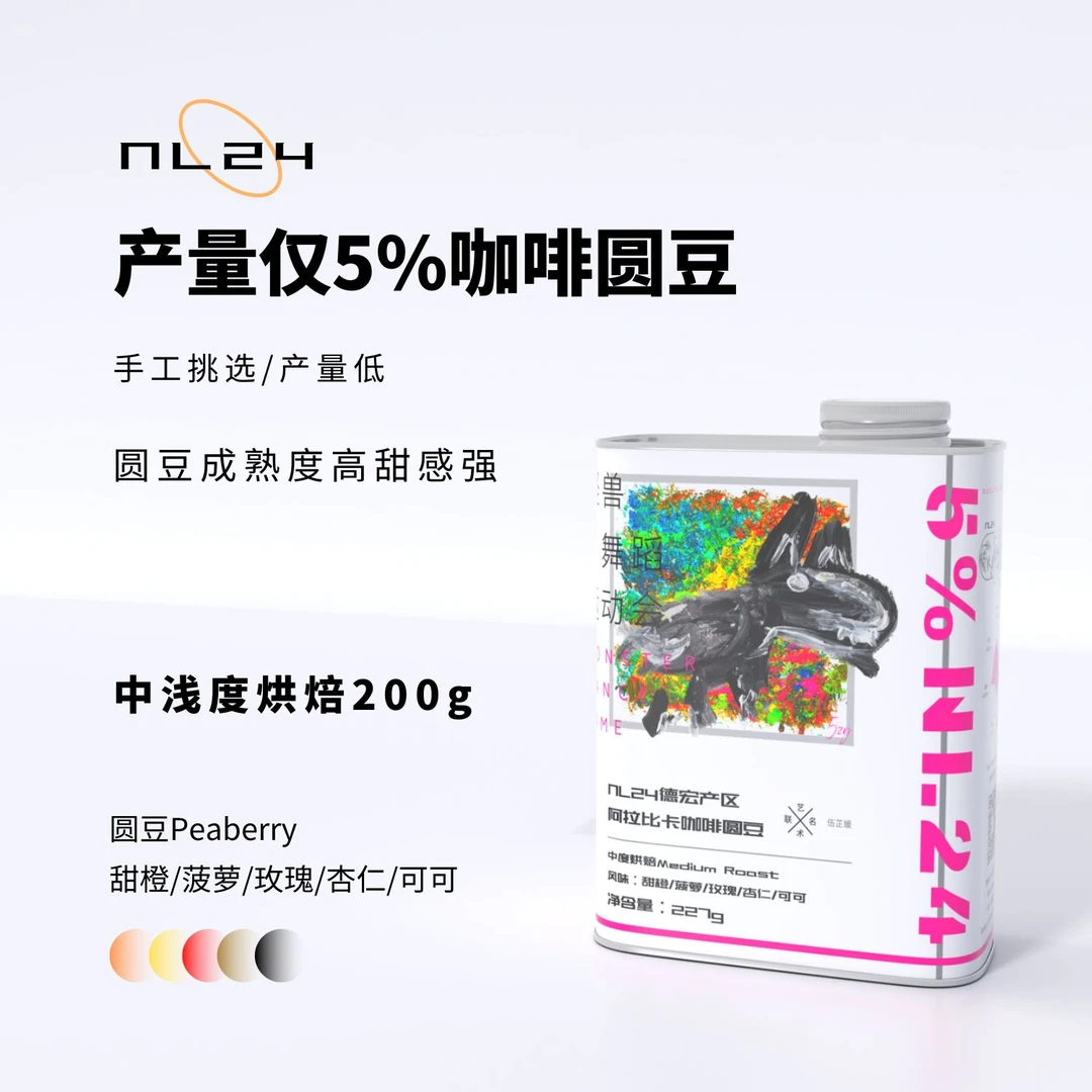 NL24艺术家联名 中浅度烘焙云南德宏产区精品咖啡圆豆 铁罐装