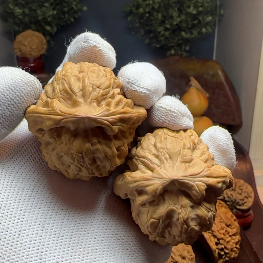 文玩核桃把件小尺龙鼎