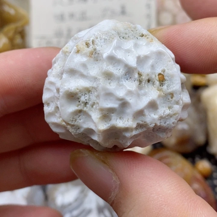颈饰未镶嵌硅化珊瑚（珊瑚玉）有瑕
