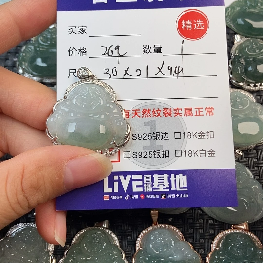 翡翠银S925镶嵌颈饰