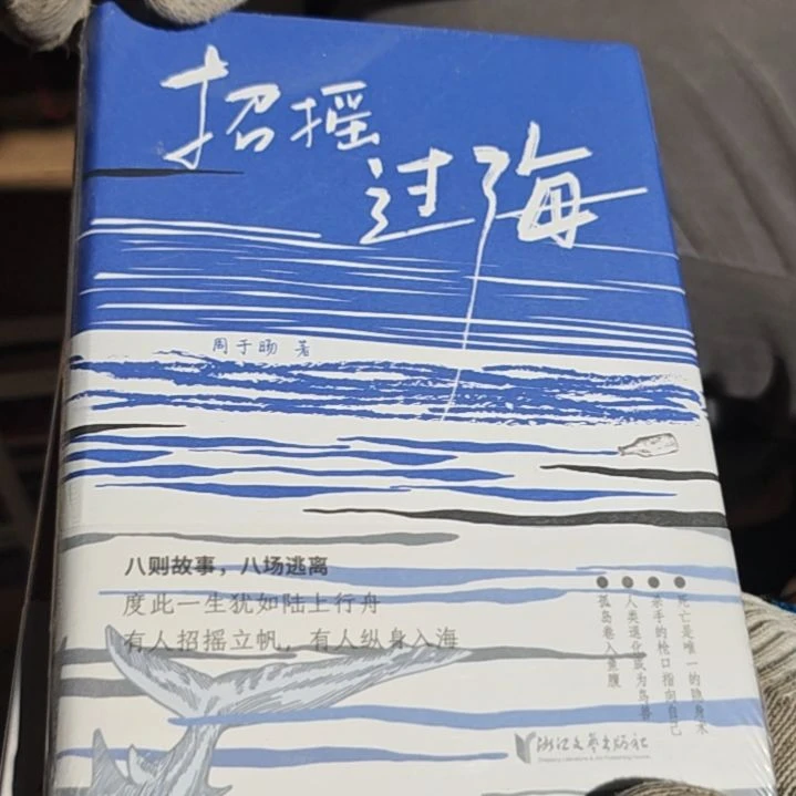 招摇过海精装塑封全新