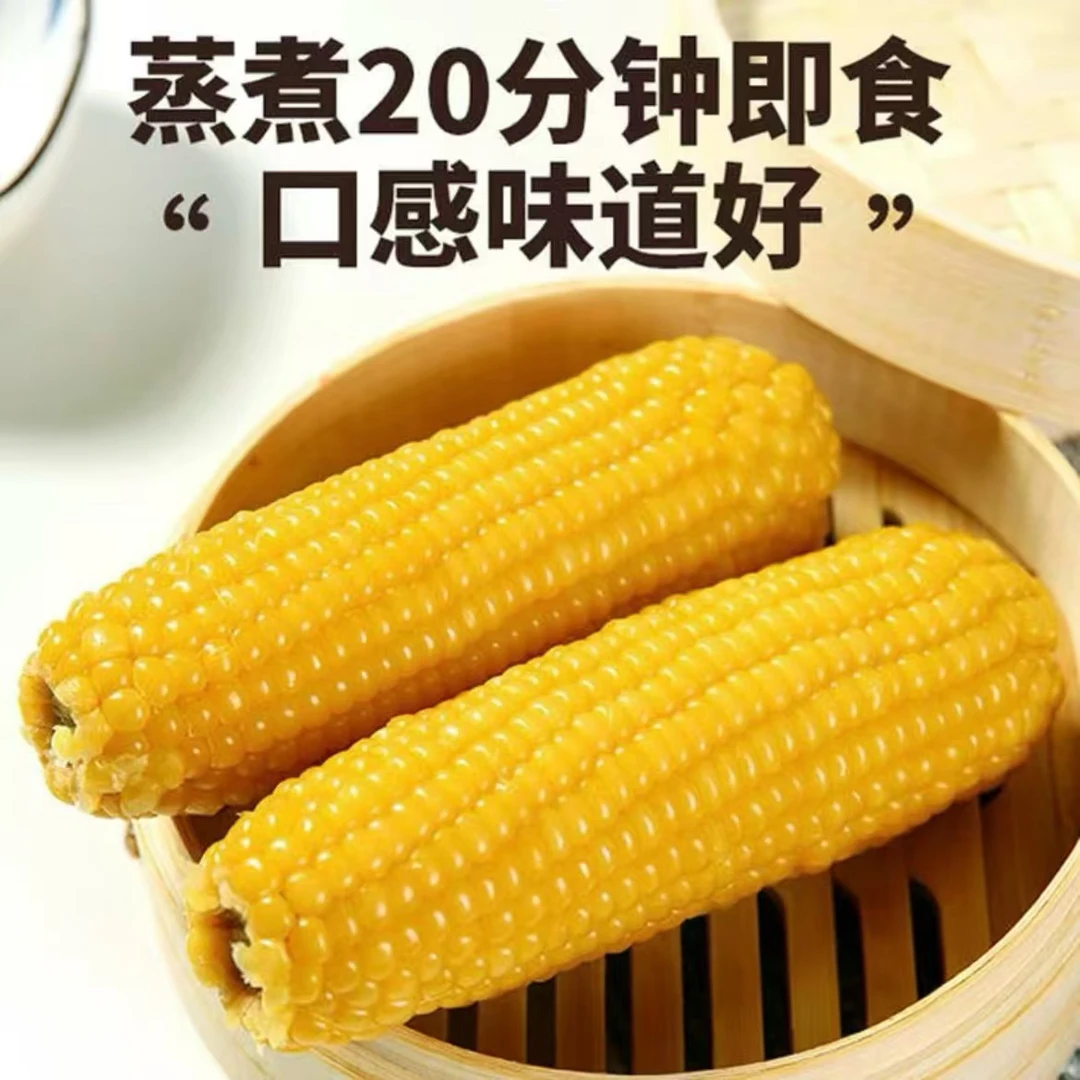 【试吃两根】2024年头茬东北黄糯玉米10支6-6.5斤软糯香甜