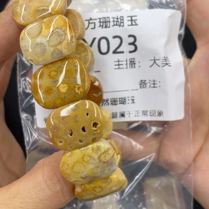硅化珊瑚（珊瑚玉）合金颈饰