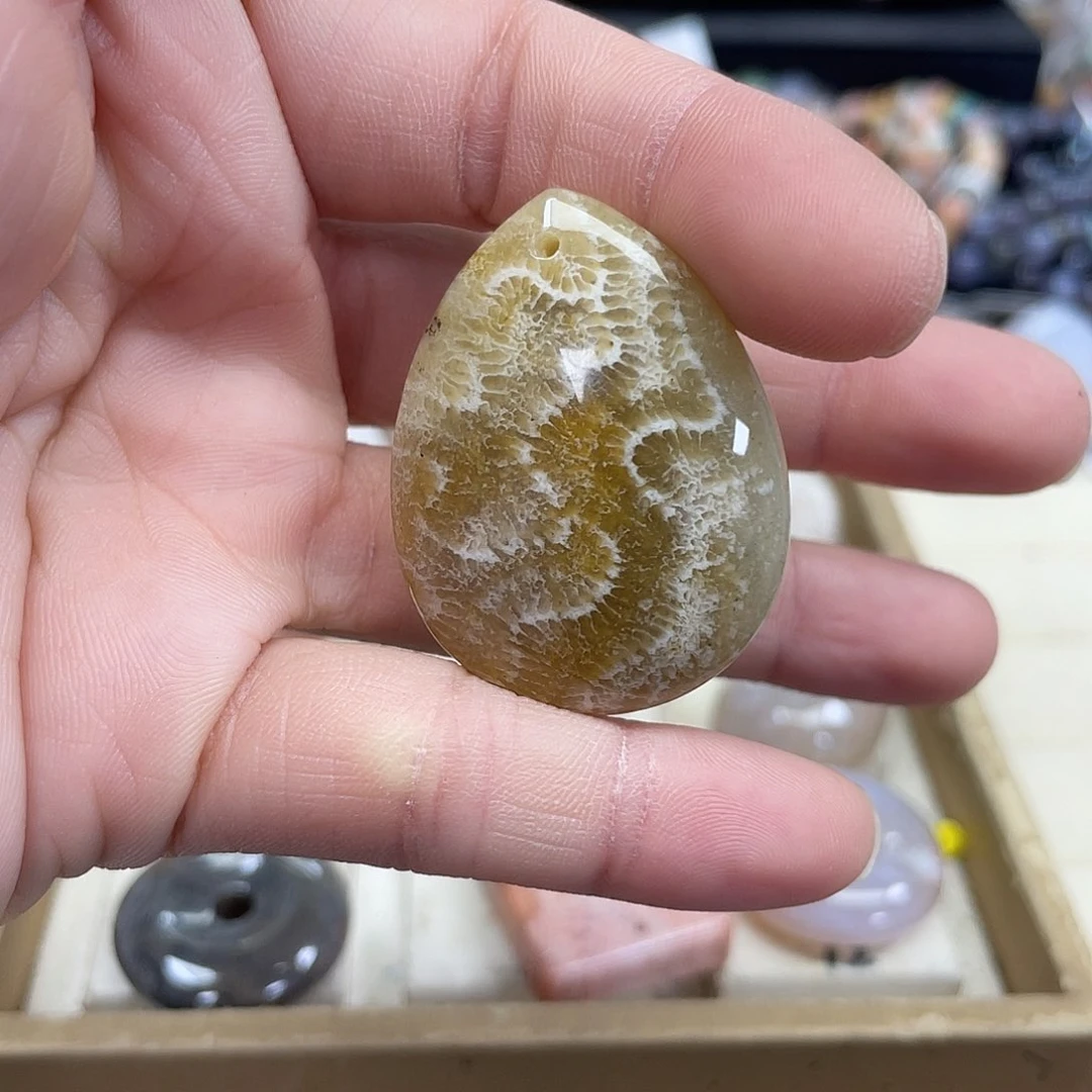 未镶嵌手串硅化珊瑚（珊瑚玉）夏****8899