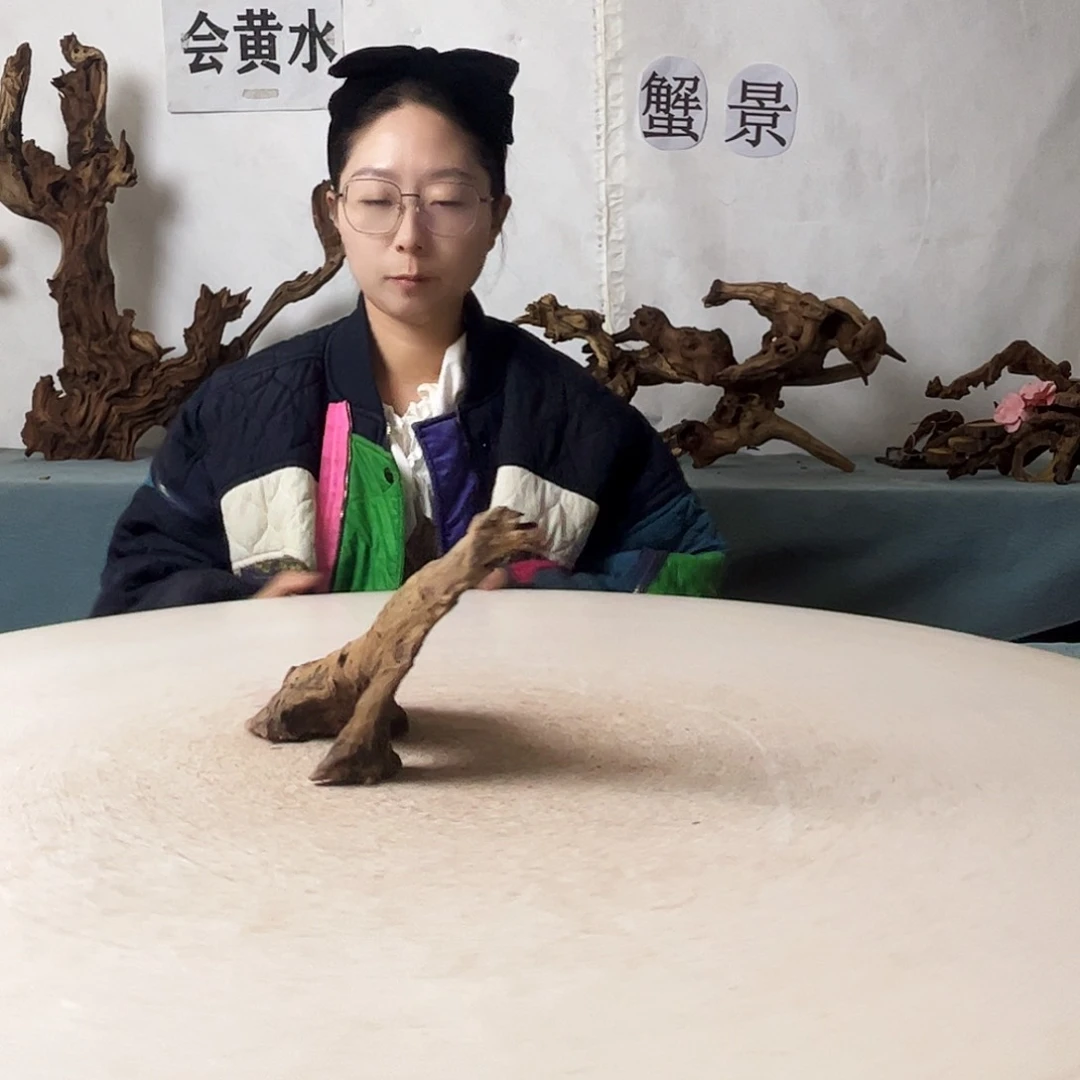 沉木造景爬宠造景