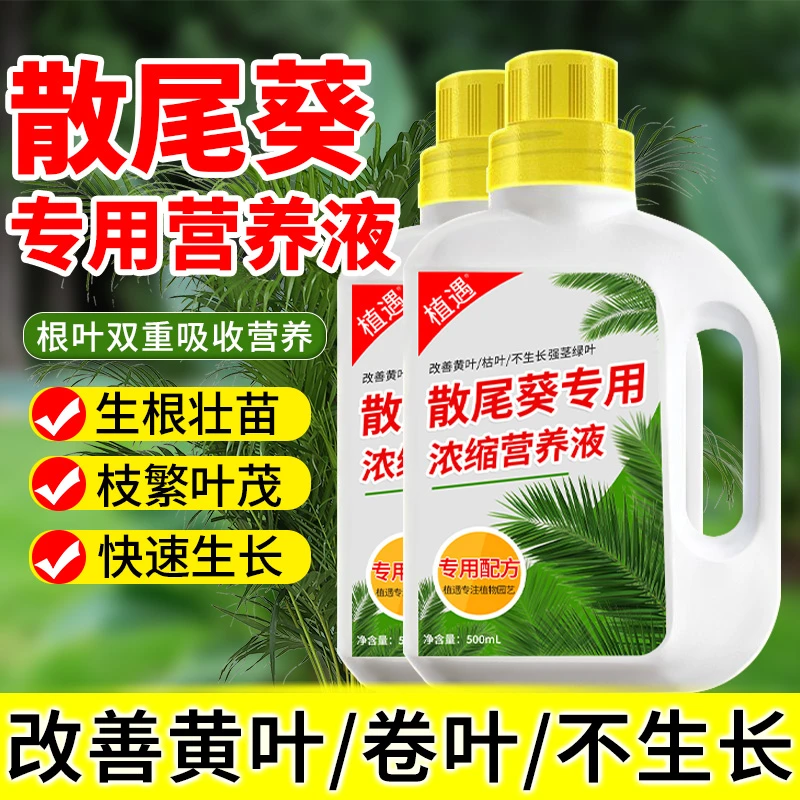 【散尾葵专用营养液】改善干尖黄叶增绿生根剂家用花肥浓缩液体肥料