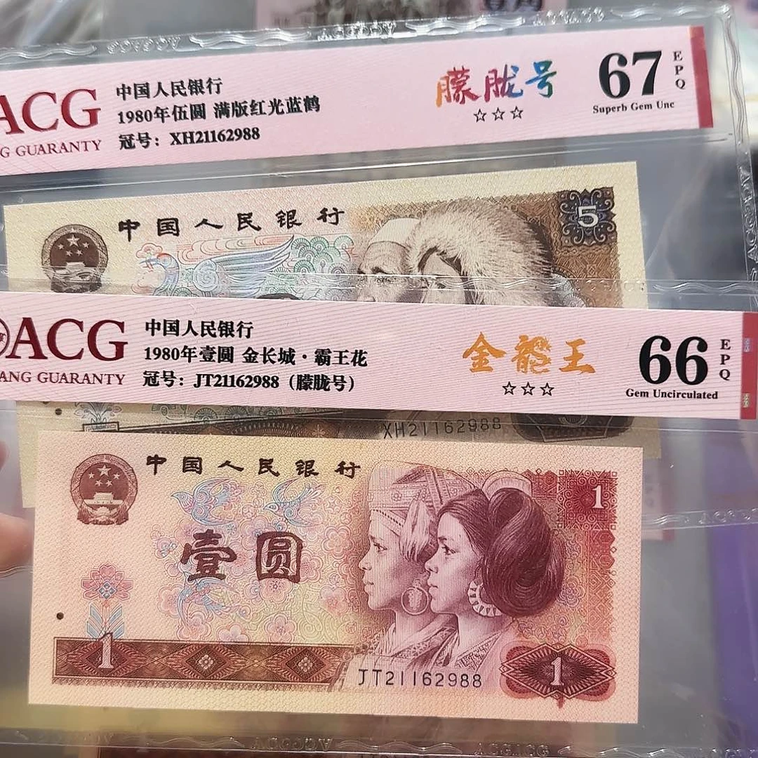 纸21162988。。。全同号朦胧尾88