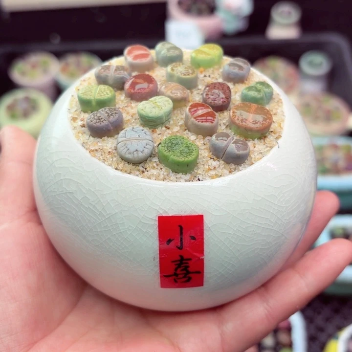 807零下地区记得拍保温箱