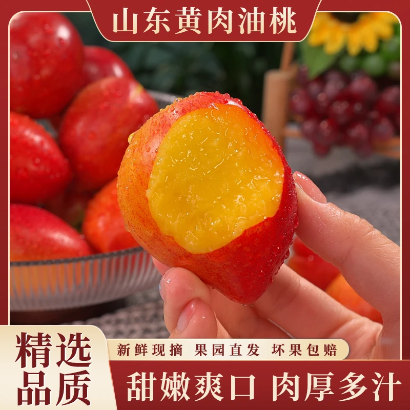 新鲜山东黄肉油桃应季水果农家自种甜嫩多汁现摘现发精选3斤起