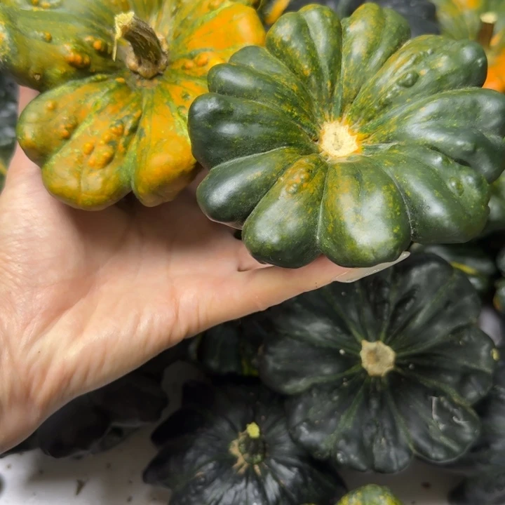 烟***冷嗯嗯呃呃呃佛的饿哦饿哦