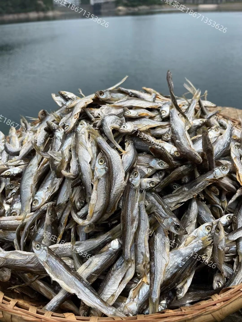 红安七里坪新鲜活鱼刁子鱼晒的小鱼干