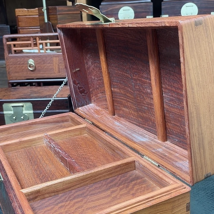 木海**空缅甸华丽木大果