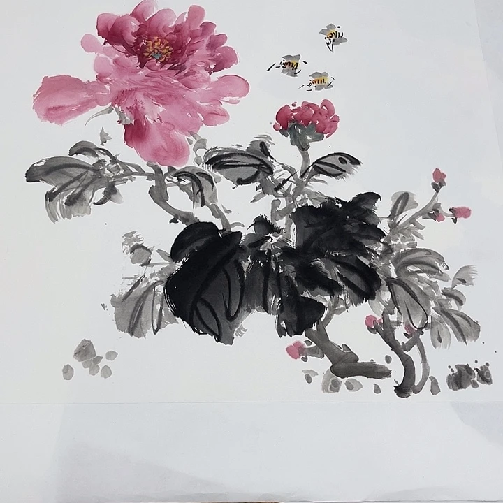 姜奇老师花鸟作品50✖️50