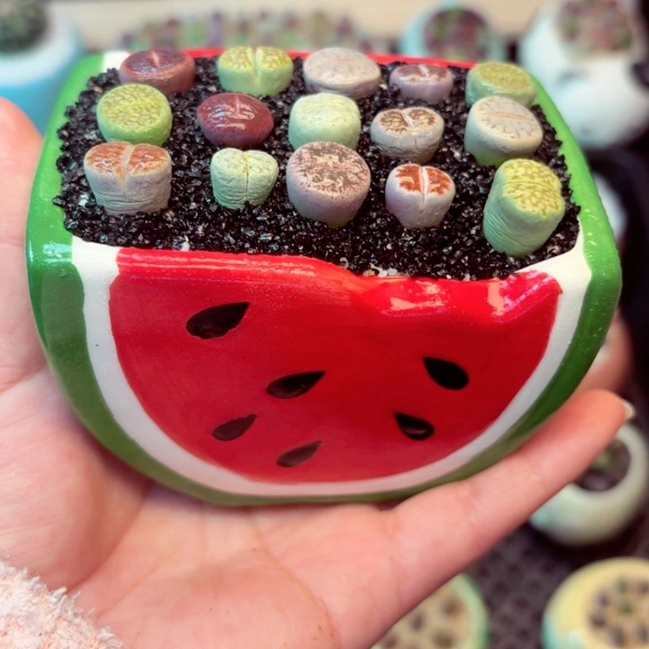 6004零下地区记得拍保温箱