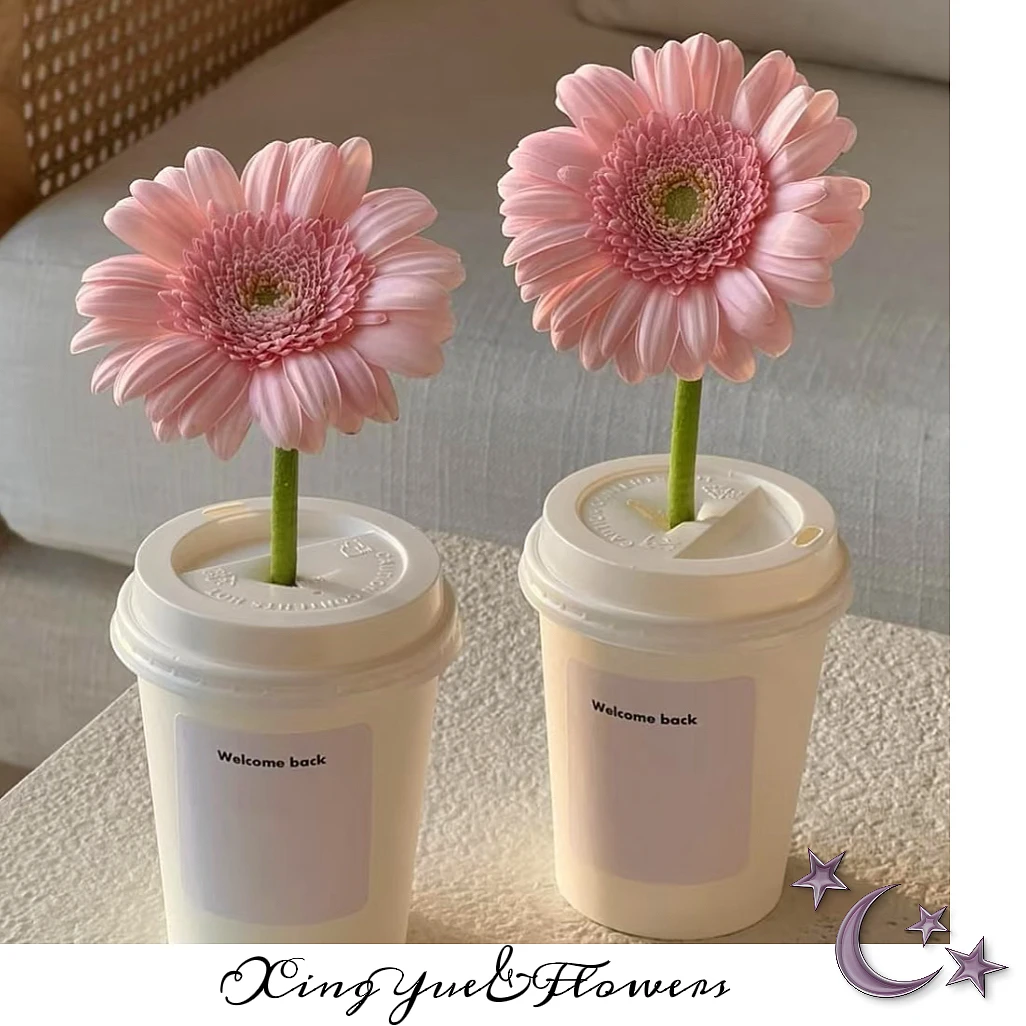 【星玥鲜花】非洲菊中的爱某仕 华沙非洲菊