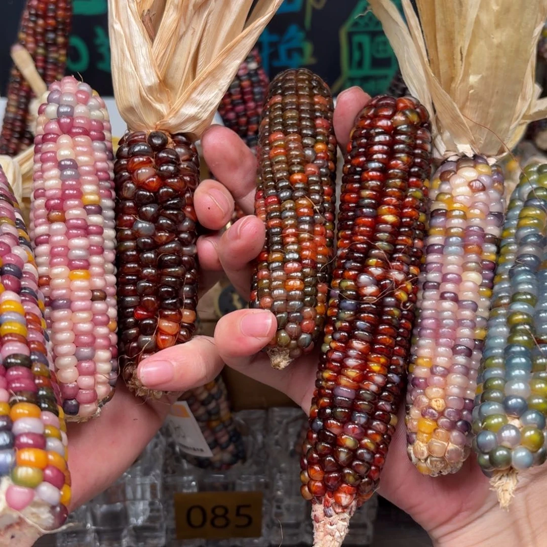 柏香籽/百香籽吊坠陌*