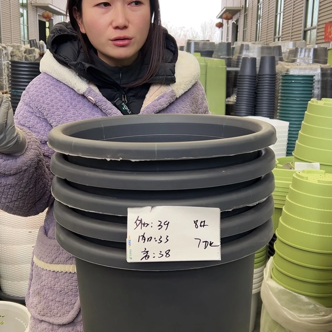 瑕疵四季盆8#灰黑5个无托