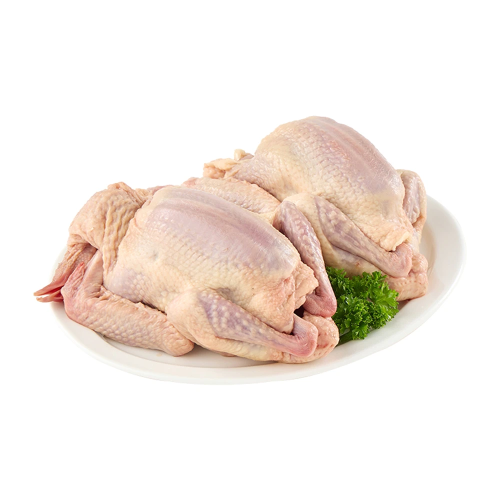 冰鲜崇明乳鸽630g