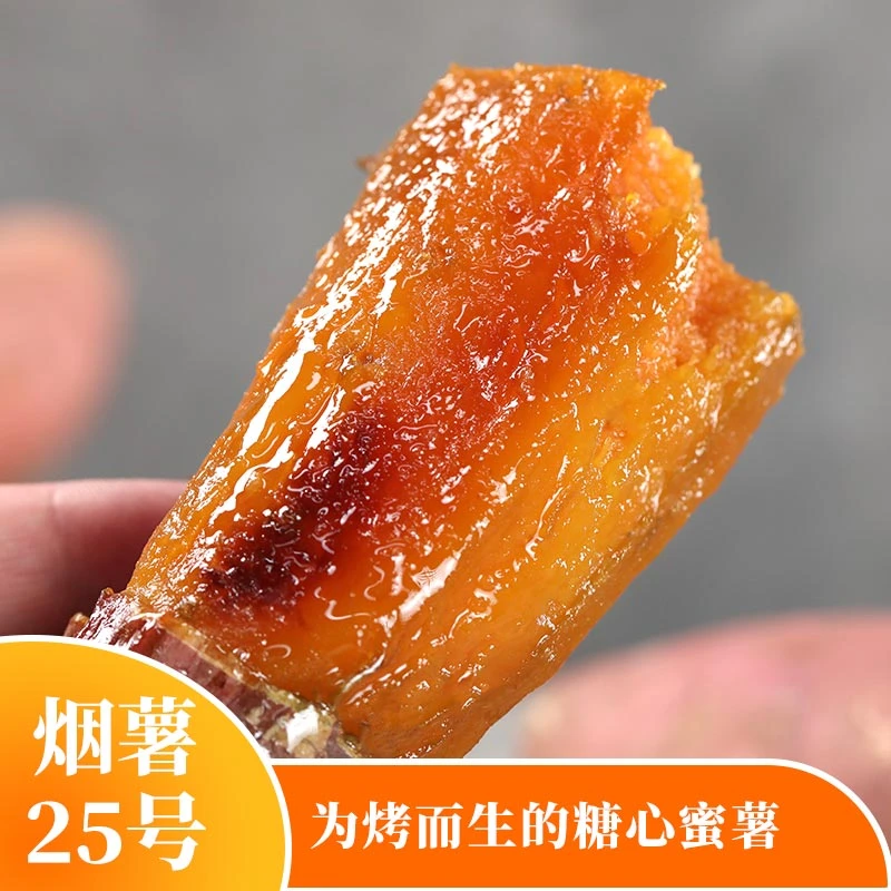 烟薯25号蜜薯 新鲜 红薯糖心沙地甜番薯流油地瓜烤红薯专用