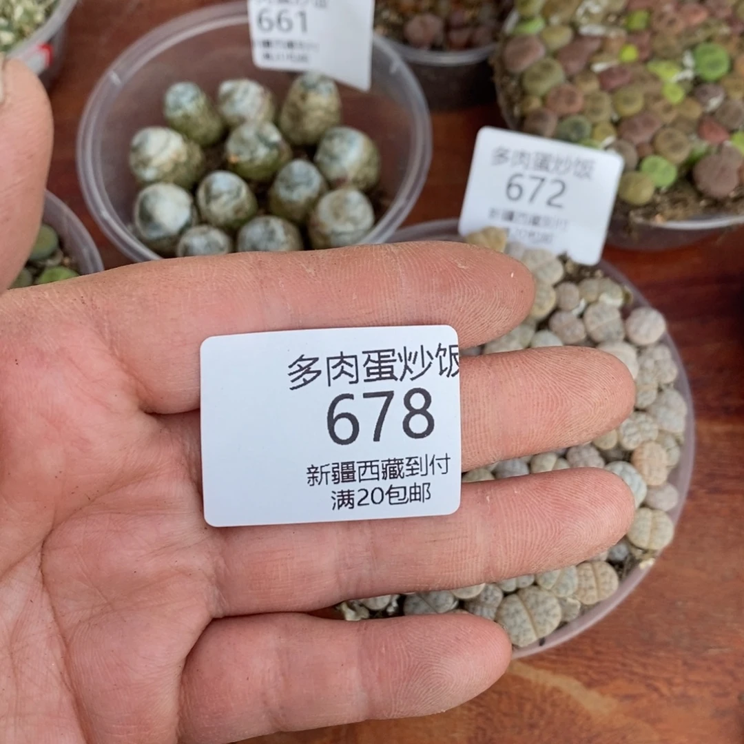 感谢您的支持，00678
