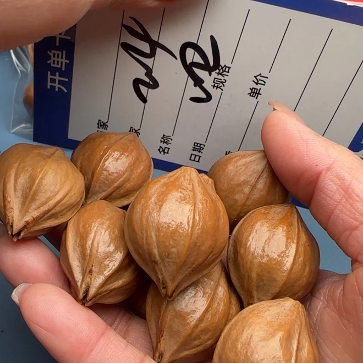 手串橄榄核橄榄核