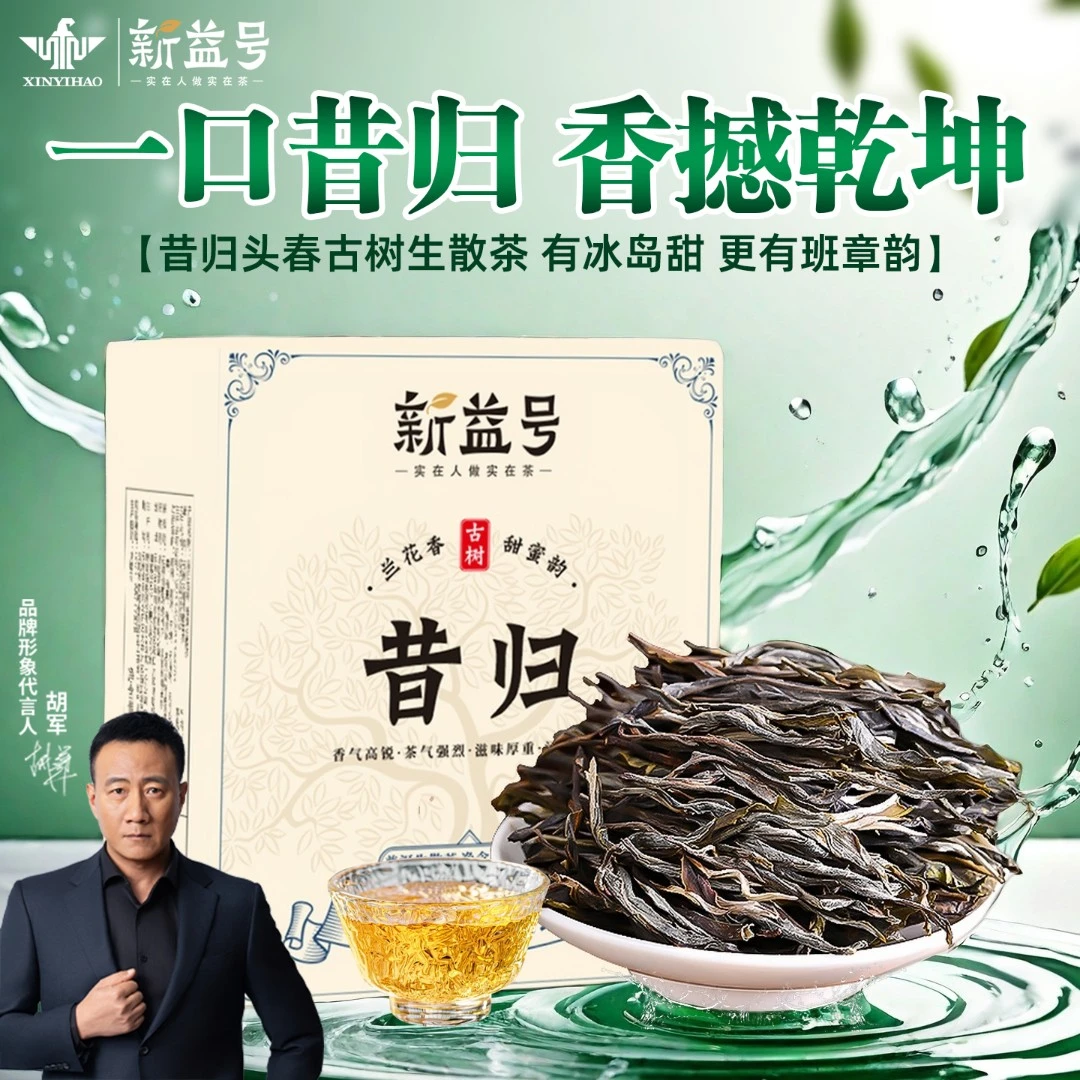昔归普洱茶古树生茶忙麓山古树散茶2022新茶云南普洱生茶礼盒茶叶