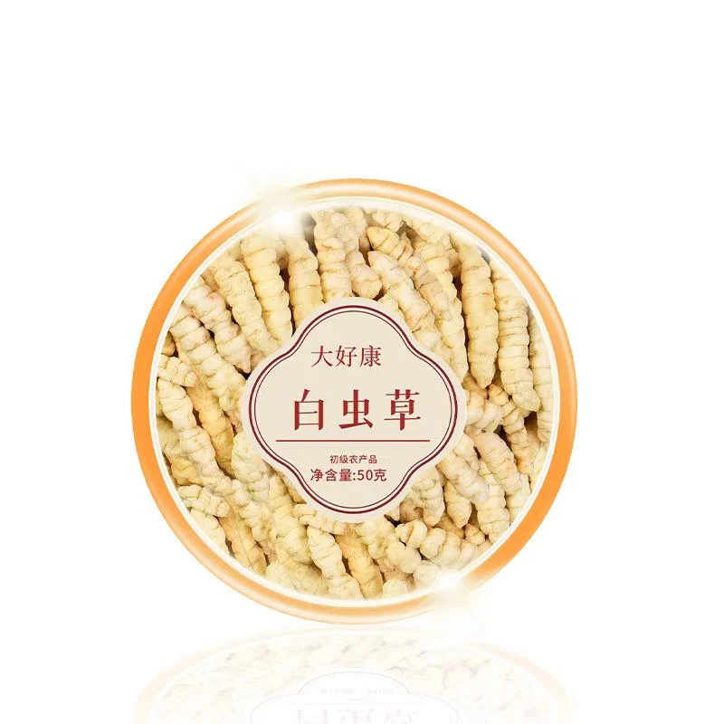 【大好康专属】白虫草