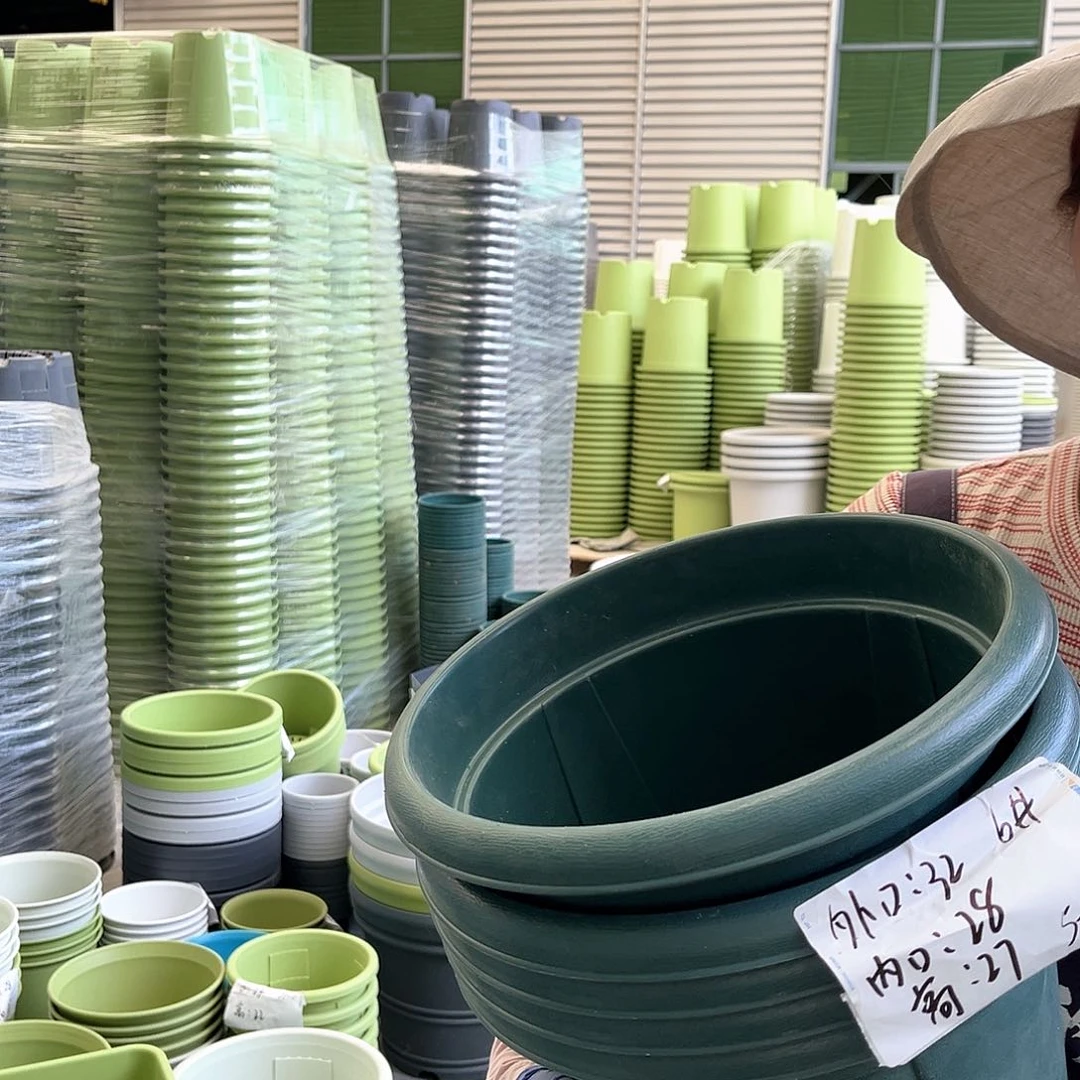 青山盆6#墨绿色5个无托