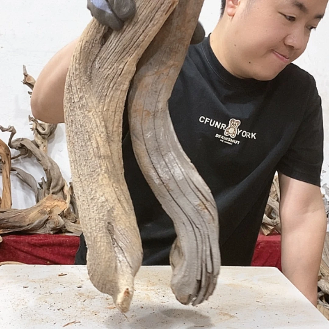 【闪购商品】柏木煌**刻我们都是好孩子