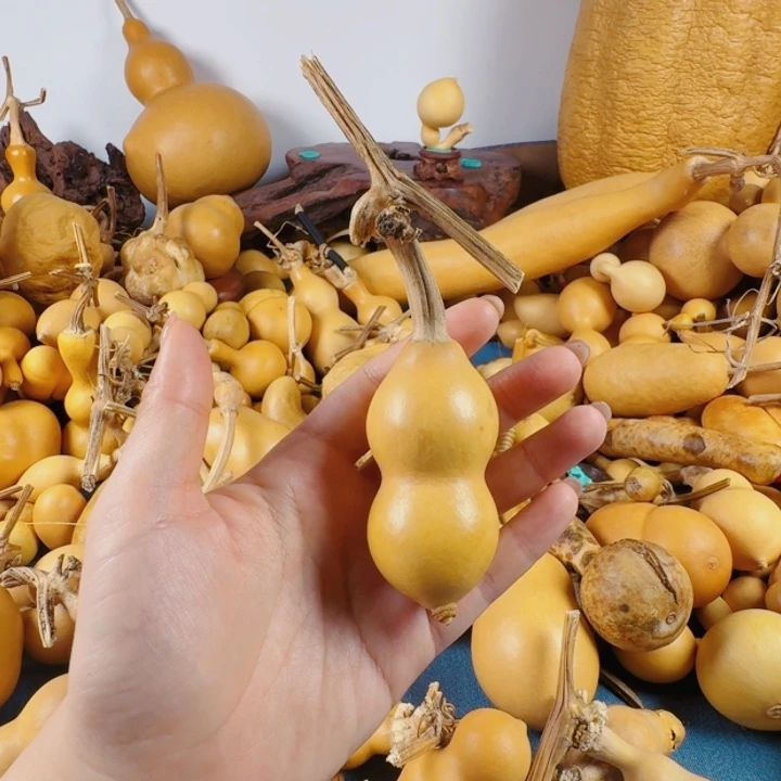 静**艺时尚上去兔兔兔子