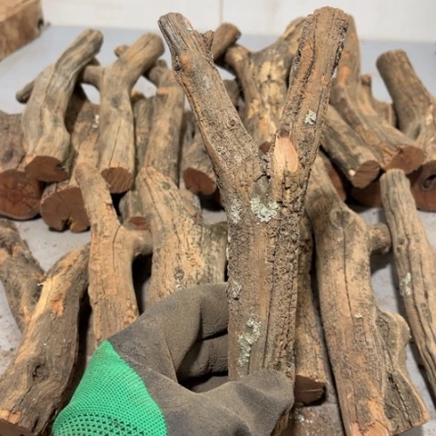 大果紫檀（缅甸花梨）張**！