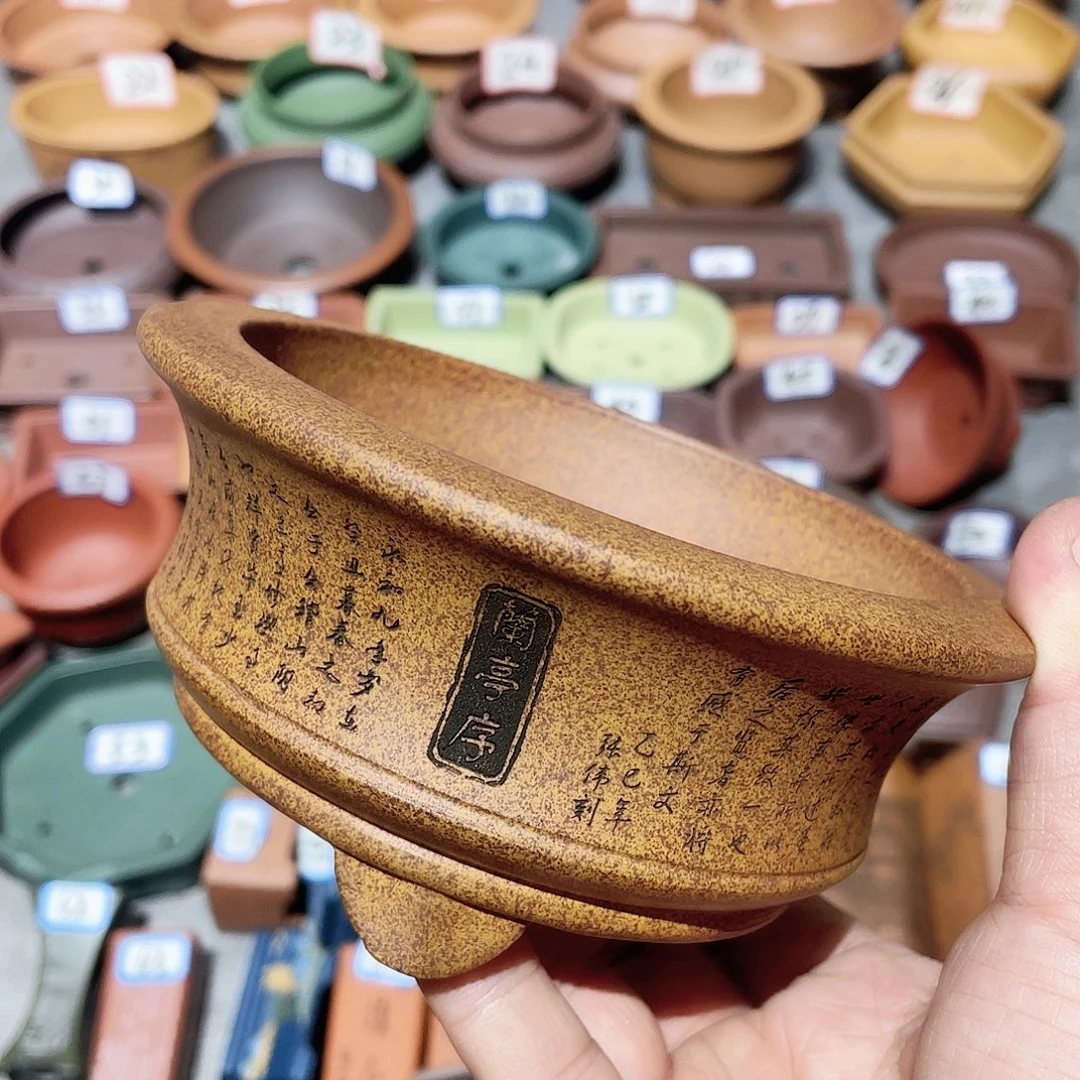 紫砂小盆11*4.5cmmmm