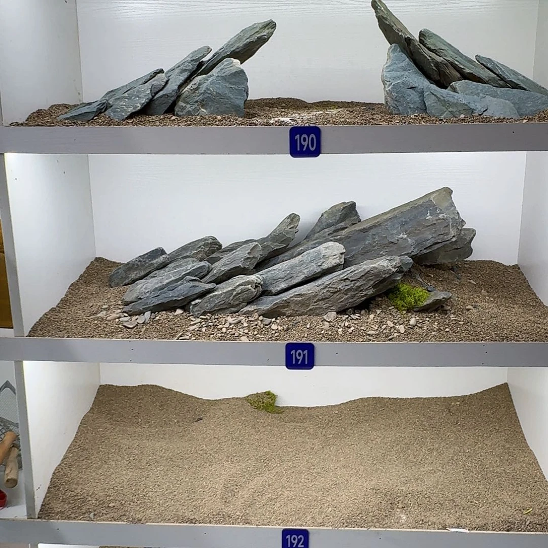45斤底沙鱼缸造景