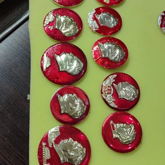 逍***真其他普通金属纪念章