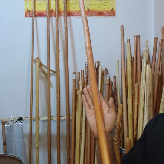 d***g秦岭石山红荀子，牛筋木