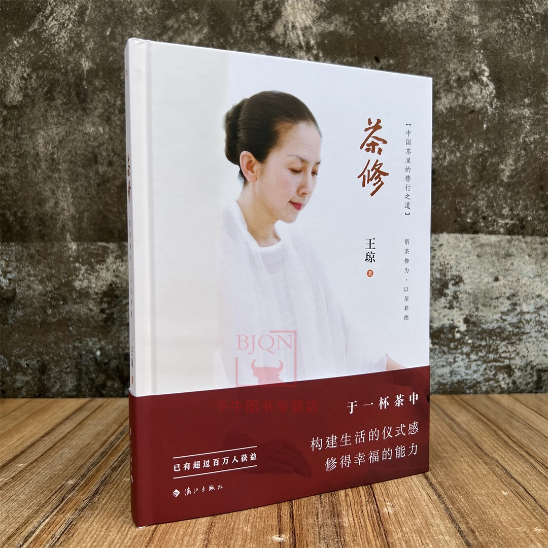 茶修中国茶里的修行之道王琼泡好一壶中国茶文化泡茶品茶茶道茶艺