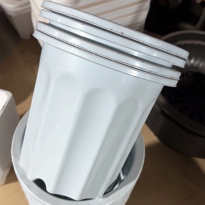 2加仑白圆盆5个白色