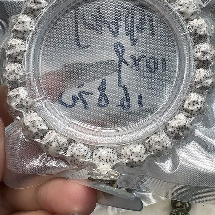 星月菩提手串111卓越原生态原脂白无相10 9