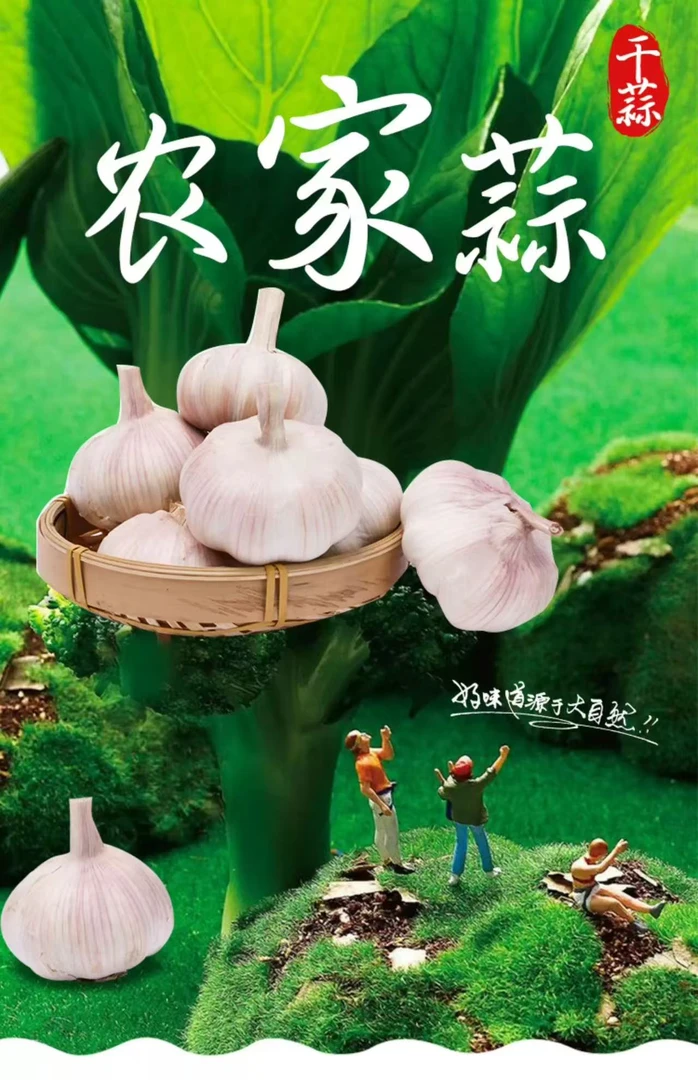 2025正宗紫白皮干蒜大个头饱满辛辣提香农家自种大蒜