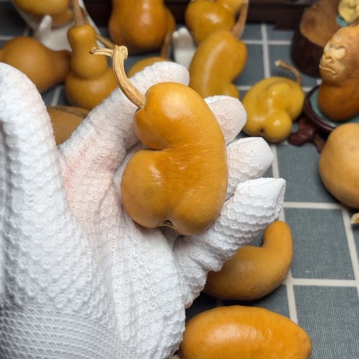 Y***e葫芦风裂666666666