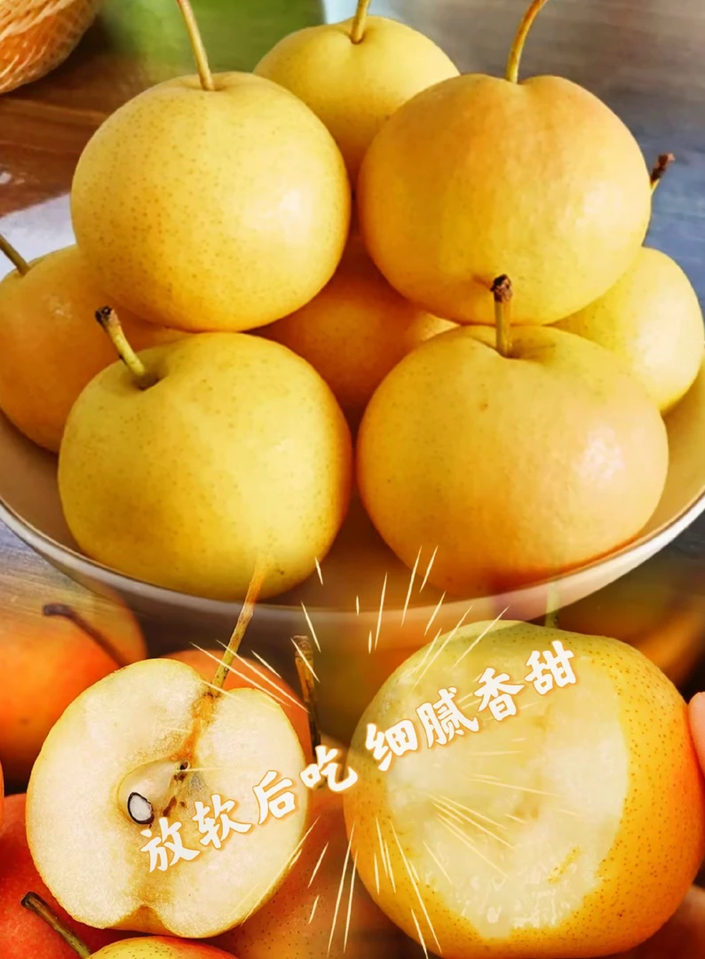 【二蔫专属】鞍山老式南果梨新鲜梨子水果南国梨软糯香甜整箱包邮