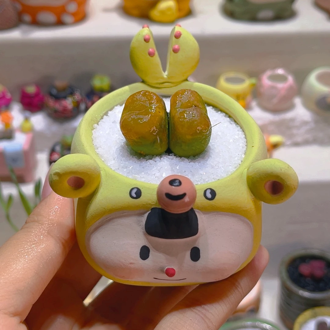 035高端多肉带盆带土手工盆