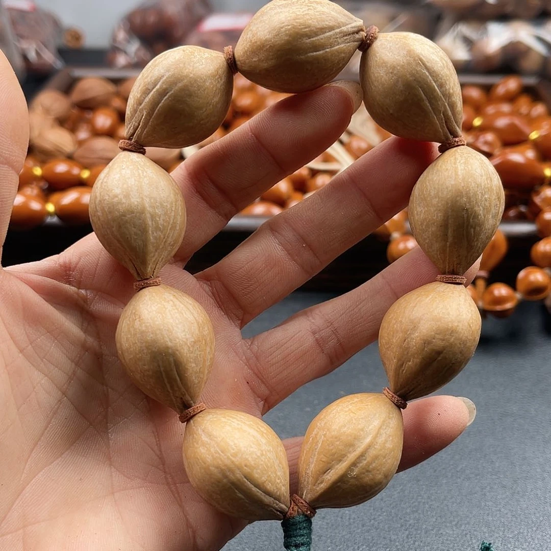 吊坠龙脊菩提橄榄树等植物