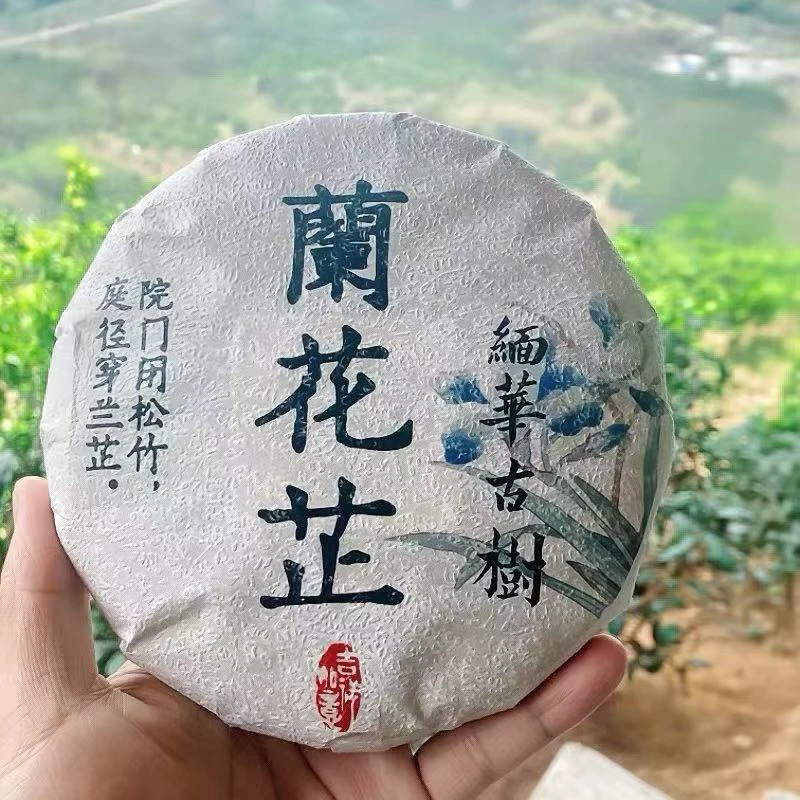 缅华古树2025年兰花芷兰香蜜韵回甘持久耐泡度高普洱生茶古树纯料