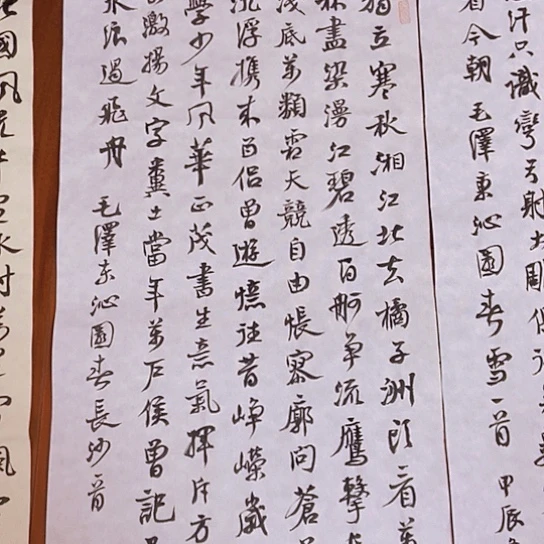 书法张建东老师书法作品