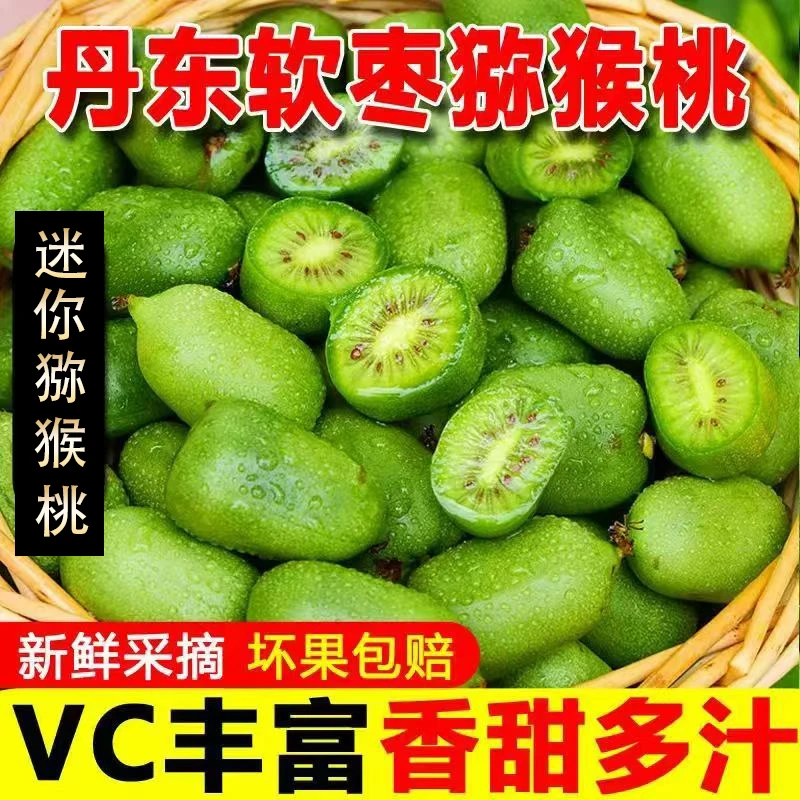 【大果到手30个左右】软枣猕猴桃奇异莓Vc小巨人【到货后放软吃】Q