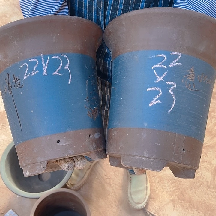 紫砂艺术学院美术