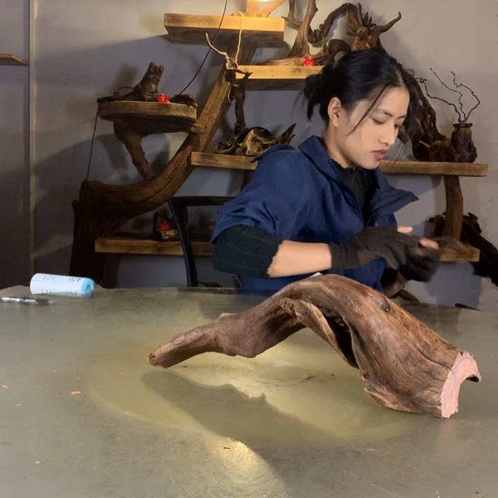 ****精天然的云南紫柚木会黄水